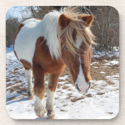 Wilde paarden, wilde dieren, Onderzetters, set van Bier Onderzetter (Voorkant)