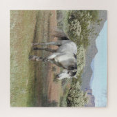 Wilde paarden, wilde dieren, puzzel (Horizontaal)