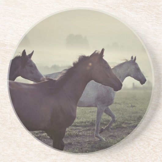 Wilde paarden zandsteen onderzetter (Voorkant)