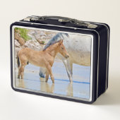 Wilde paardenfokkerij (Achterkant)