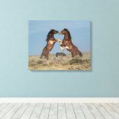 Wilde paardenhengsten vechten canvas afdruk (Insitu (Houten vloer))
