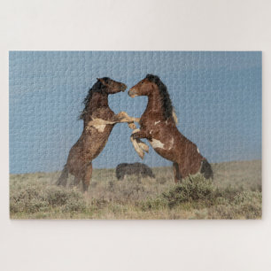 Wilde paardenhengsten vechten legpuzzel