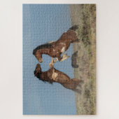 Wilde paardenhengsten vechten legpuzzel (Verticaal)