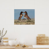 Wilde paardenhengsten vechten poster (Keuken)