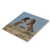 Wilde paardenhengsten vechten tegeltje (Zijkant)