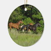 wilde paardenkudde keramisch ornament (Links)