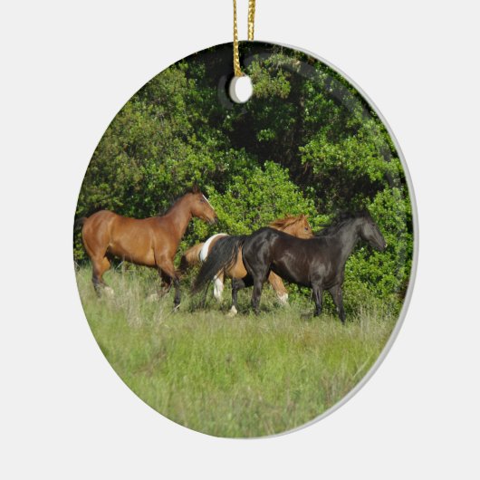 wilde paardenkudde keramisch ornament (Links)