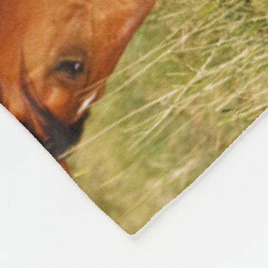 Wilde paardenmoeder en koudweiden fleece deken (Hoek)