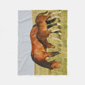 Wilde paardenmoeder en koudweiden fleece deken (Voorkant)