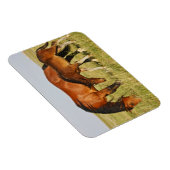 Wilde paardenmoeder en koudweiden magneet (Rechterzijde)