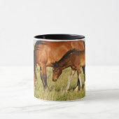 Wilde paardenmoeder en koudweiden mok (Midden)