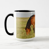 Wilde paardenmoeder en veulen grazen mok (Links)