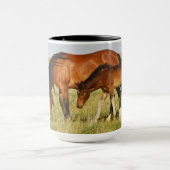 Wilde paardenmoeder en veulen grazen mok (Midden)