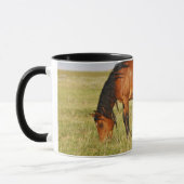 Wilde paardenmoeder en veulen grazen mok (Links)