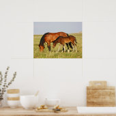 Wilde paardenmoeder en veulen grazen poster (Keuken)