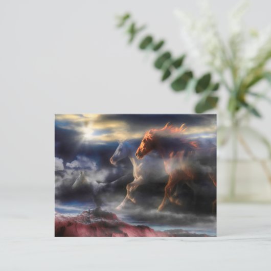 Wilde paardenpitten RUN TILL TOMORROW Briefkaart (Staand voorkant)