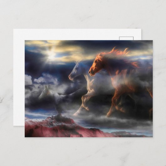 Wilde paardenpitten RUN TILL TOMORROW Briefkaart (Voorkant / Achterkant)