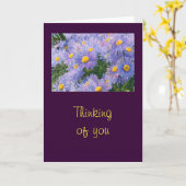Wilde Paarse Asters "Denken aan U" Groet Kaart (Gele Bloem)