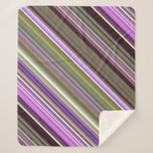 Wilde Paarse Asters Paarse en Groene Streep