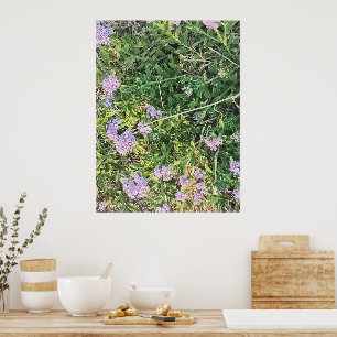 Wilde paarse bloemen in een natuurlijke tuinsettin poster