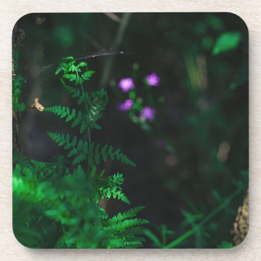 Wilde Paarse bosbouwers Fern Bier Onderzetter (Voorkant)