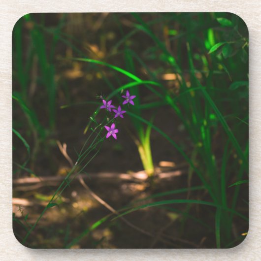 Wilde Paarse bosbouwers Fern Bier Onderzetter (Voorkant)