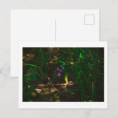 Wilde Paarse bosbouwers Fern Briefkaart (Voorkant / Achterkant)