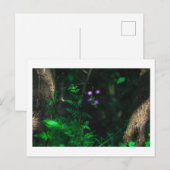 Wilde Paarse bosbouwers Fern Briefkaart (Voorkant / Achterkant)
