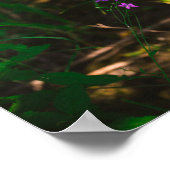 Wilde Paarse bosbouwers Fern Poster (Hoek)