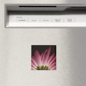 Wilde Paarse Daisy Magneet (Insitu (Vaatwasser))