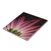Wilde Paarse Daisy Tegeltje (Zijkant)