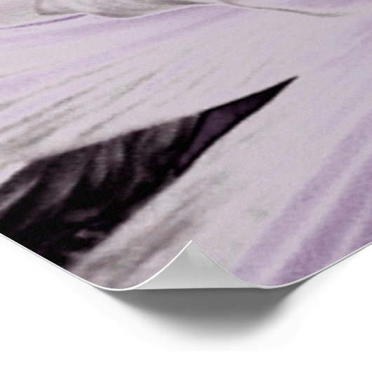 Wilde paarse leugens... poster (Hoek)