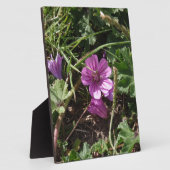 Wilde Paarse Ooievaarsbek Fotoplaat (Zijkant)