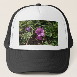 Wilde Paarse Ooievaarsbek Trucker Pet