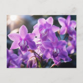 WILDE PAARSE ORCHIDEE UIT DOMINICA BRIEFKAART (Voorkant)