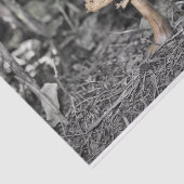 Wilde paddenstoel tissuepapier (Detail)