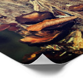 Wilde paddenstoelen die op boomstam groeien poster (Hoek)