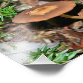 Wilde paddenstoelen en mos 10x8 Natuur Foto Afdruk (Hoek)