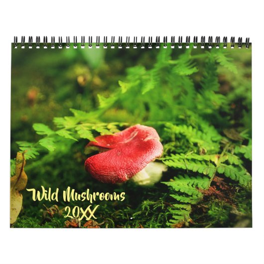 Wilde paddenstoelen en Natuur Fotografie Kalender (Hoes)