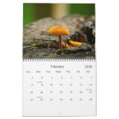 Wilde paddenstoelen en Natuur Fotografie Kalender (Feb 2026)