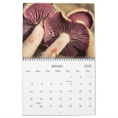 Wilde paddenstoelen en Natuur Fotografie Kalender (Jan 2026)