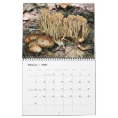 Wilde Paddenstoelen Fotografie  Kalender (Feb 2027)