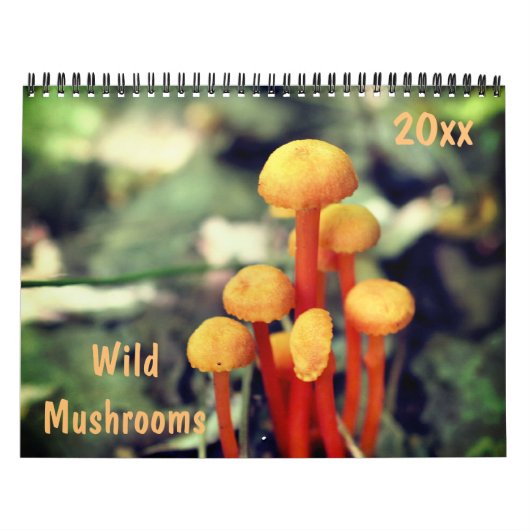 Wilde Paddenstoelen Fotografie  Kalender (Hoes)