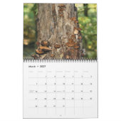 Wilde Paddenstoelen Fotografie  Kalender (Mar 2027)