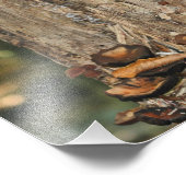 Wilde paddenstoelen op boom 10x8 Natuur Foto Afdruk (Hoek)