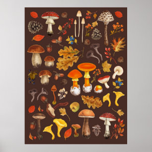 Wilde paddenstoelen op bruin poster