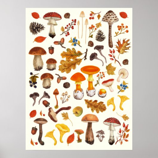 Wilde paddenstoelen op lichtgrijs poster (Voorkant)