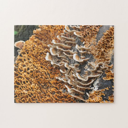 Wilde paddenstoelen op Natuur hout Legpuzzel (Horizontaal)