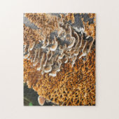 Wilde paddenstoelen op Natuur hout Legpuzzel (Verticaal)