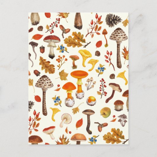 Wilde paddenstoelen op wit briefkaart (Voorkant)